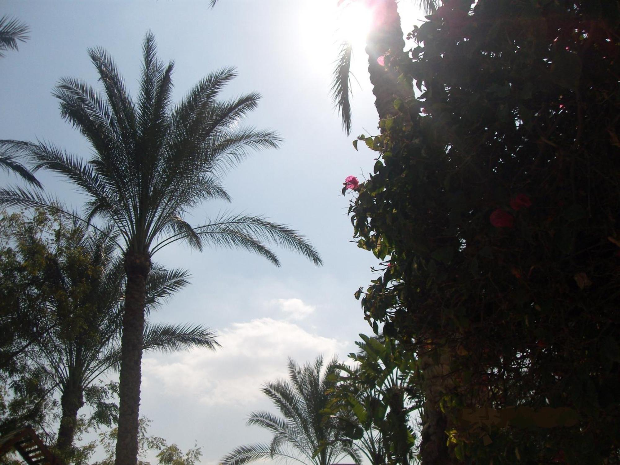 Six Corners Resort Abū Sulţān Εξωτερικό φωτογραφία