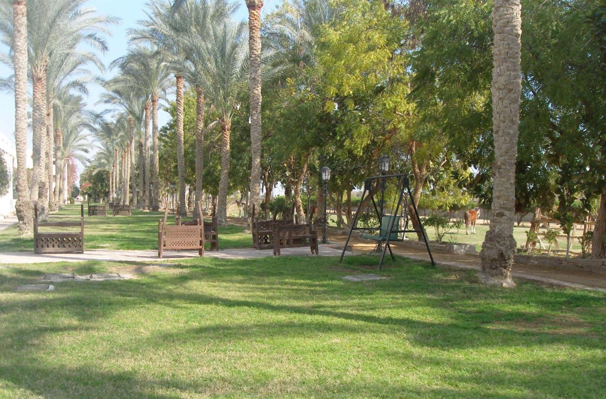 Six Corners Resort Abū Sulţān Εξωτερικό φωτογραφία